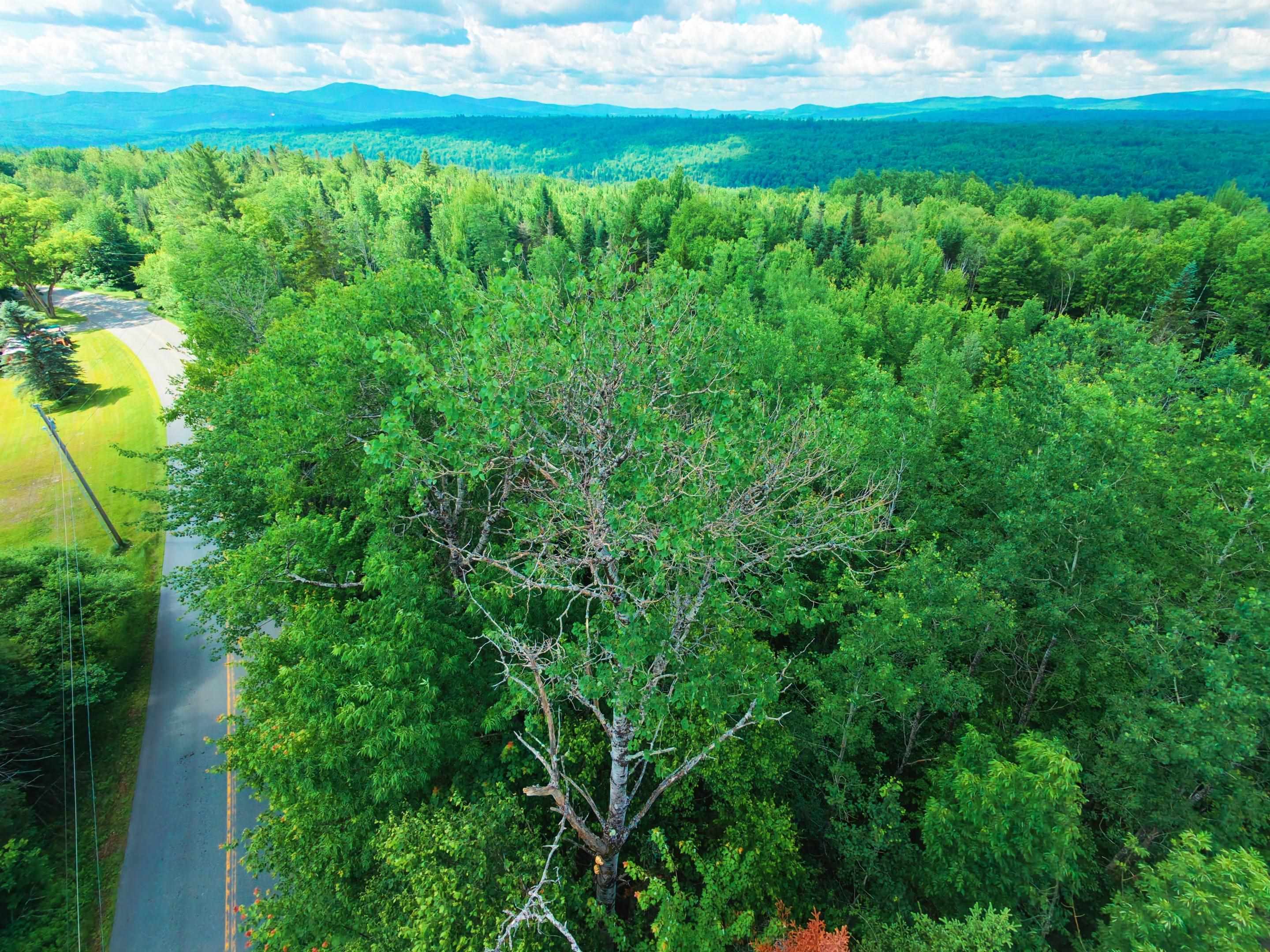 -- Oregon Road Concord, VT 05824 - Photo 11 of 27