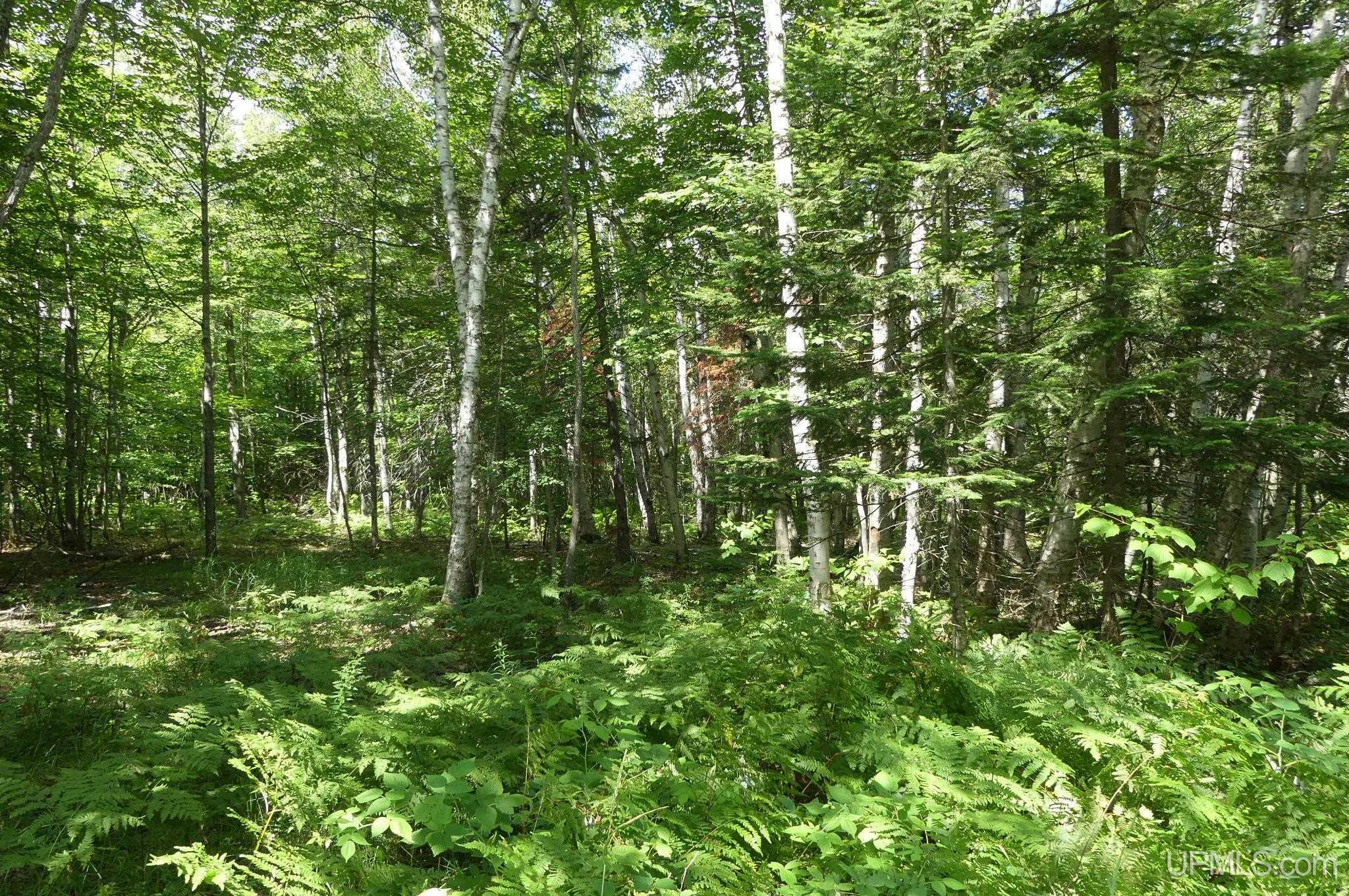 1 East Webb Road Grand Marais, MI 49839 - Photo 15 of 19 Gallery Image 15