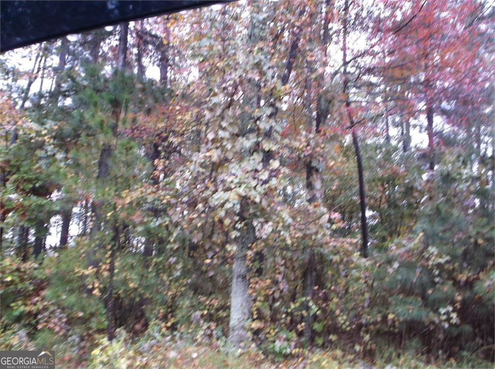 3065 Ridgeview Drive Villa Rica, GA 30180 - Photo 4 of 4 a view of tree