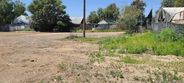a view of a dry yard with trees