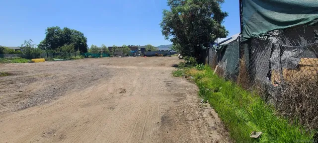 a view of a yard with plants