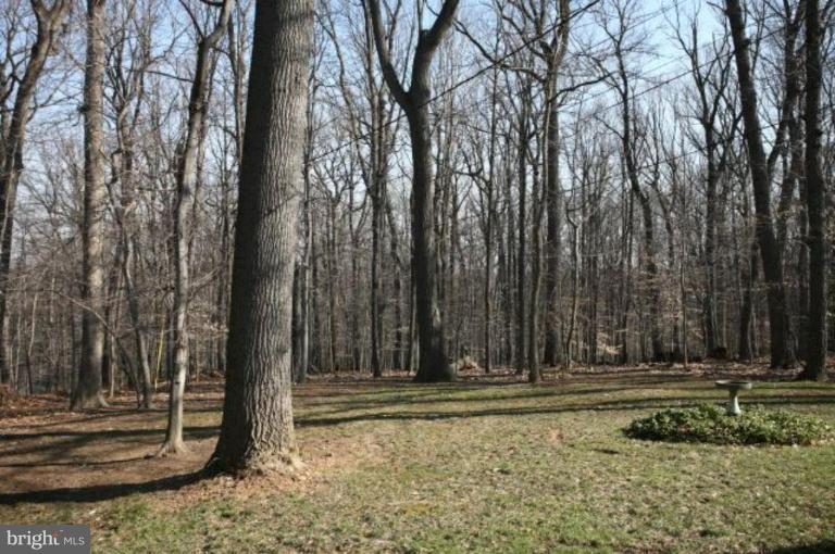 910 Huntsman Road Towson, MD 21286 - Photo 2 of 30 Wooded View / Acreage