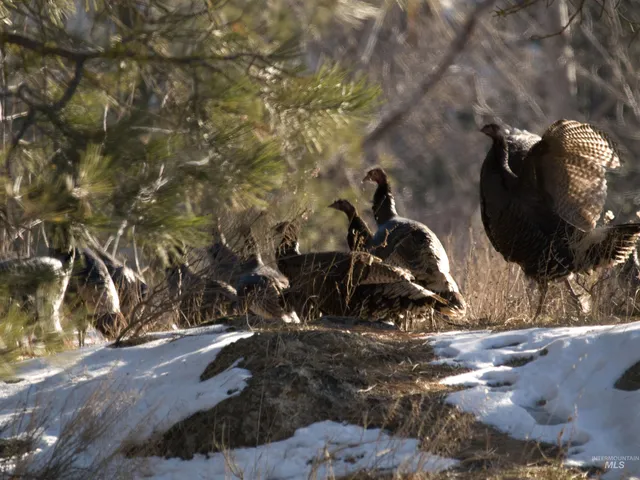 $105,000 | 9 Blk Whitewater Way, Garden Valley, ID 83622