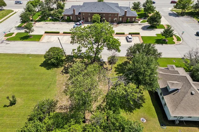 a view of a yard with plants and large trees
