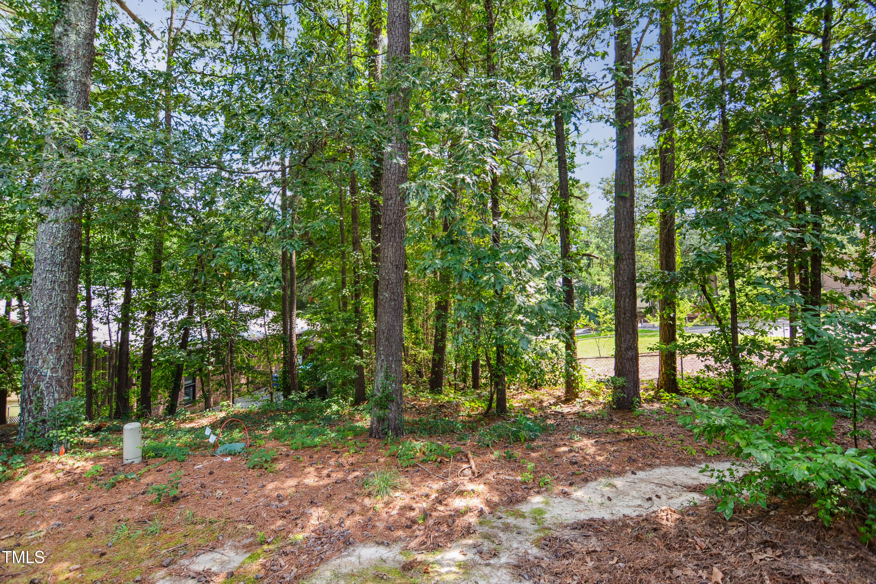 5436 Sharpe Drive Raleigh, NC 27612 - Photo 18 of 18 a view of a forest with trees in the background