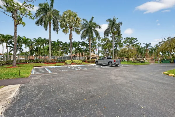 a view of a park with palm trees