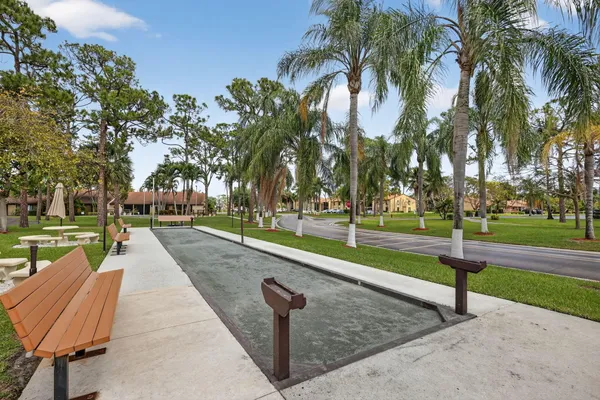 an outdoor space with lots of palm trees