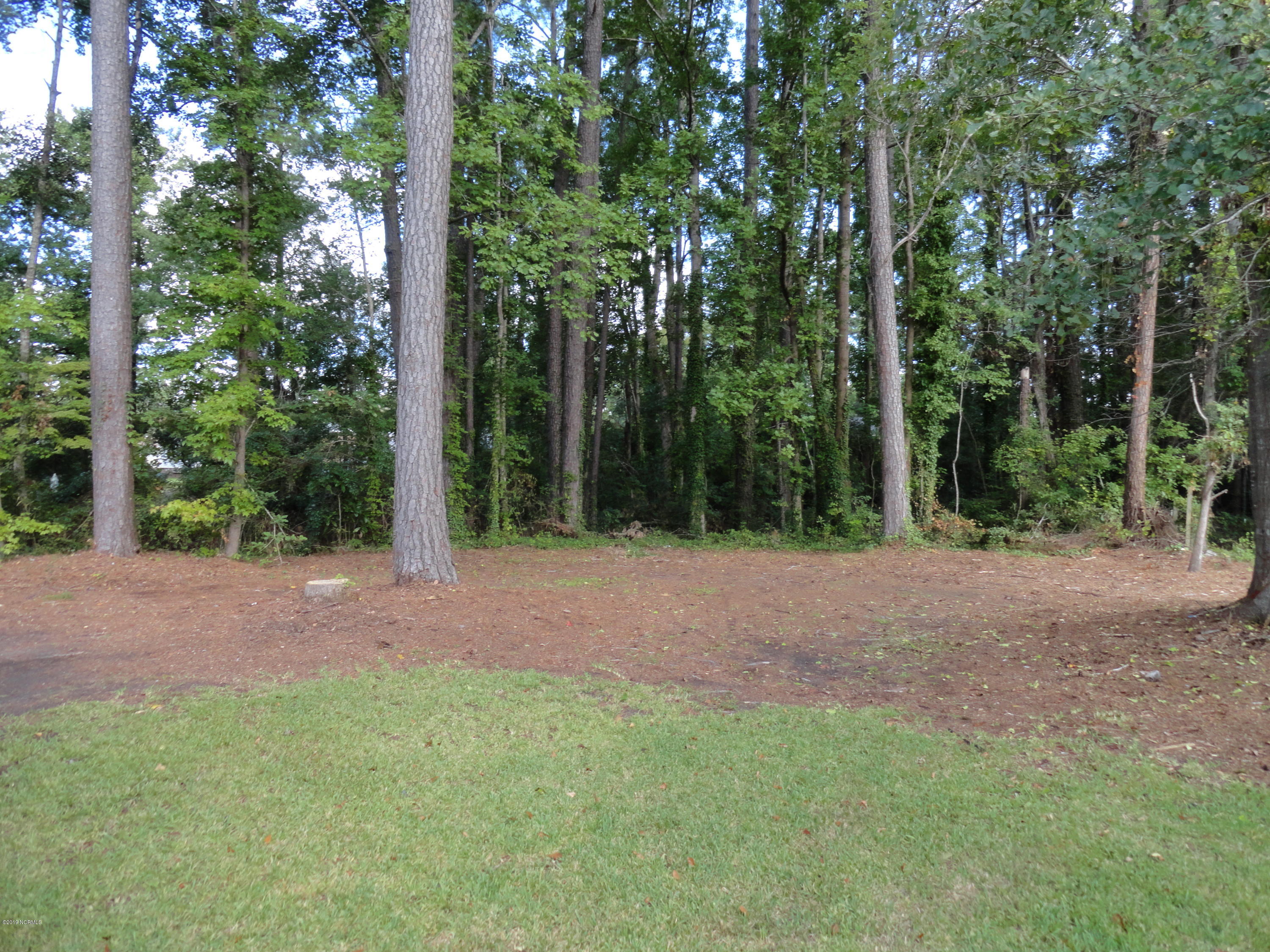 225 Nottingham Drive Havelock, NC 28532 - Photo 20 of 25 Back Yard View #1