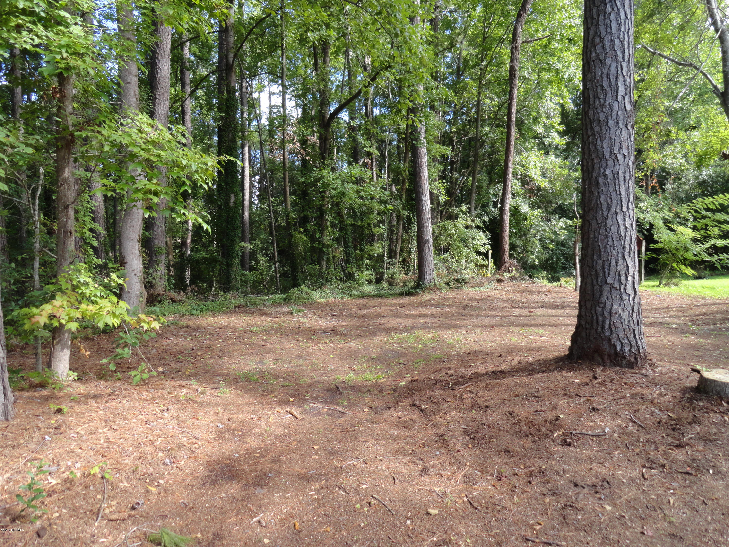 225 Nottingham Drive Havelock, NC 28532 - Photo 21 of 25 Back Yard View #2