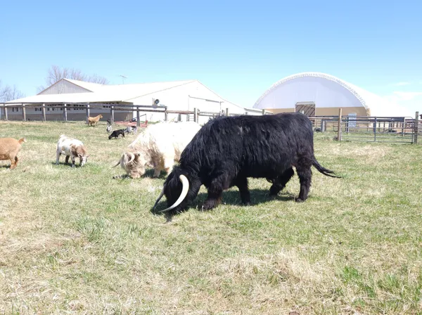 $1,300,000 | 4251 115th Street Southeast, Delano, MN 55328