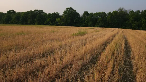 $1,300,000 | 4251 115th Street Southeast, Delano, MN 55328