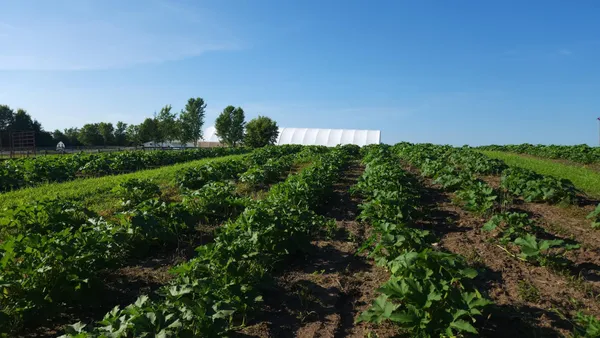 $1,300,000 | 4251 115th Street Southeast, Delano, MN 55328