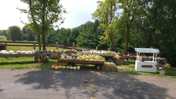 $1,300,000 | 4251 115th Street Southeast, Delano, MN 55328