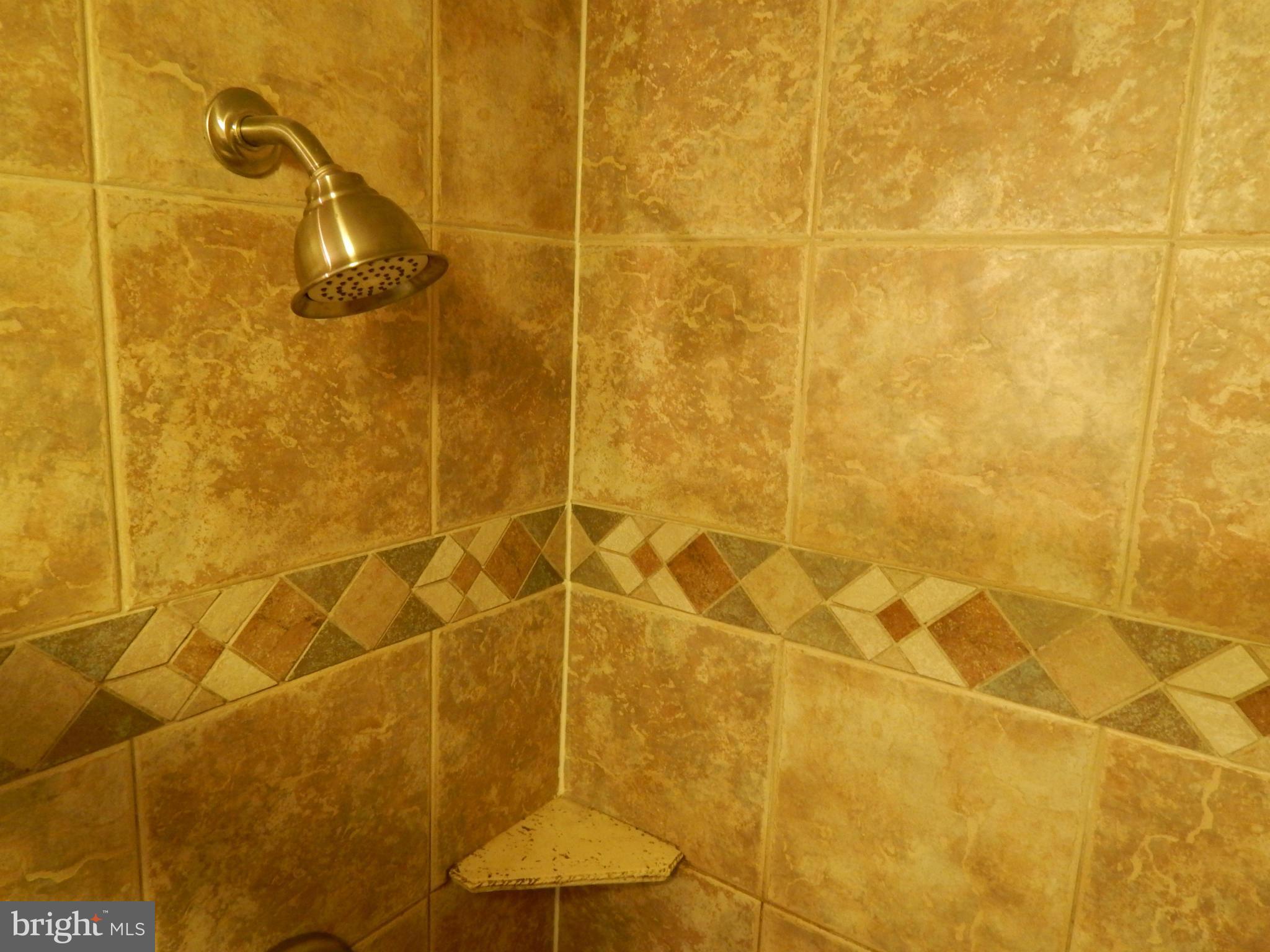 7799 Paddock Way Baltimore, MD 21244 - Photo 12 of 27 a bathroom with a shower
