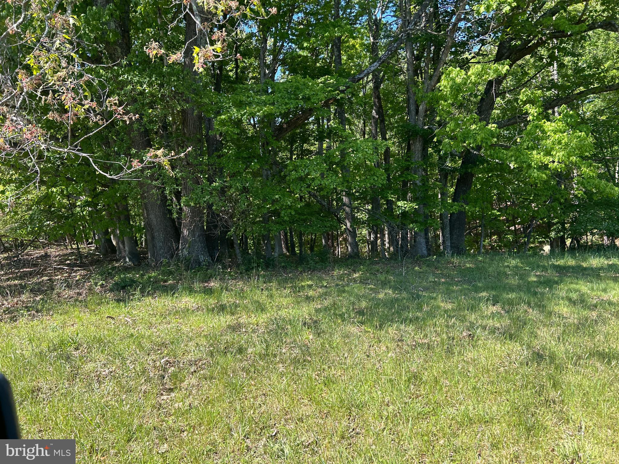 South Timber Ridge Road Cross Junction, VA 22625 - Photo 18 of 32 a backyard of a house with lots of green space