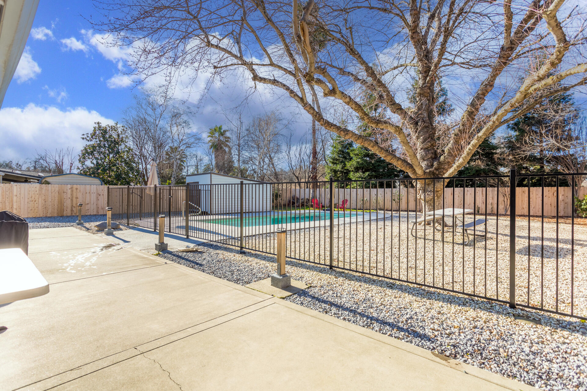 6582 Hemlock Street Redding, CA 96001 - Photo 21 of 35 a view of a backyard with a large tree