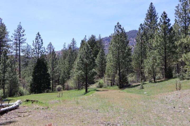 0 Masterson Road Gazelle, CA 96034 - Photo 21 of 26 Gallery Image 21