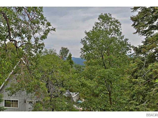 25925 Ranger Drive Lake Arrowhead, CA 92391 - Photo 8 of 26