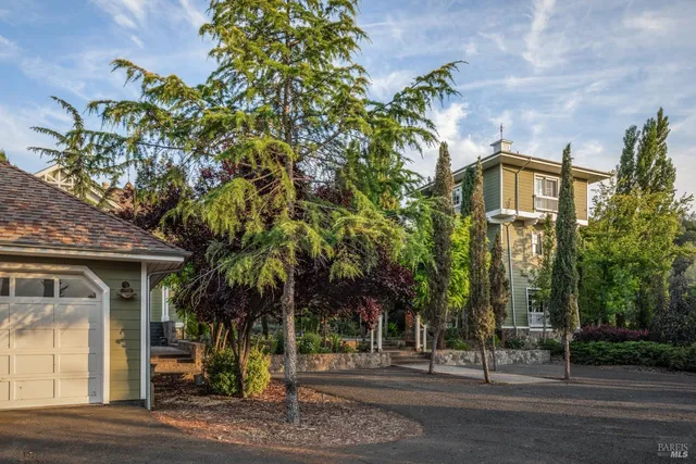 a view of a bunch of trees