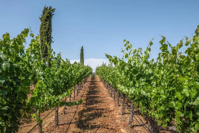 a view of a lake with outdoor seating and lake