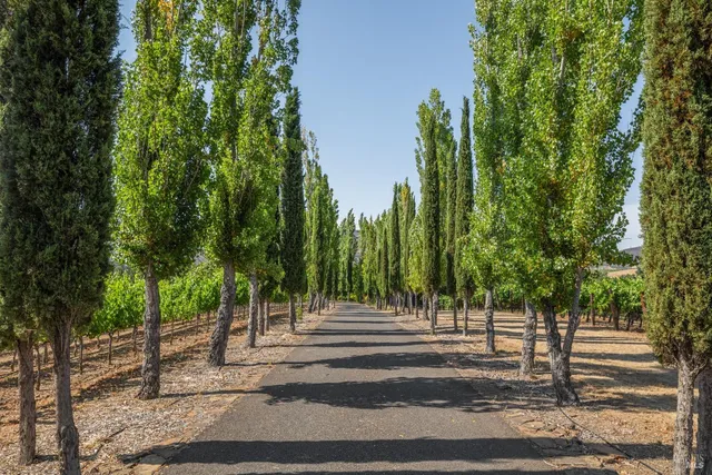 a view of a white house with a yard and plants