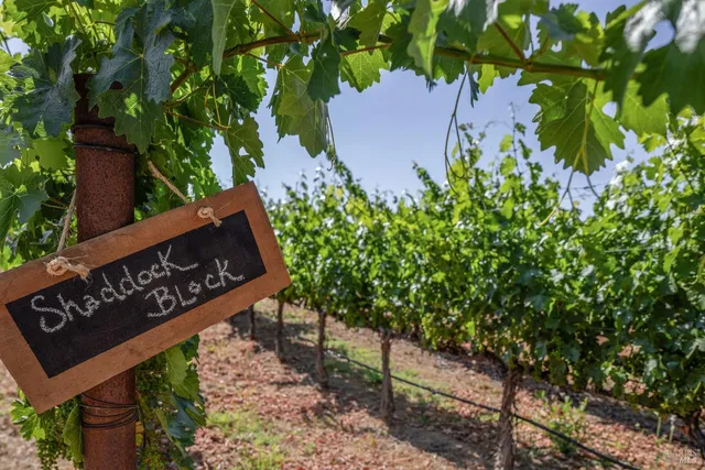 $4,875,000 | 2322 Barnett Road, St. Helena, CA 94574