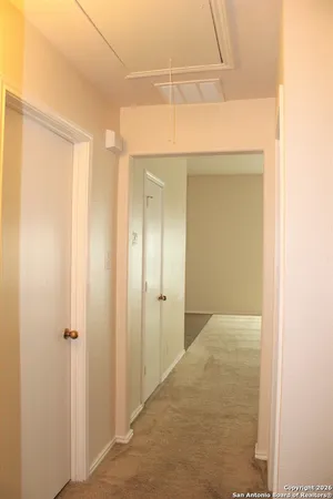 a bathroom with a shower and a sink