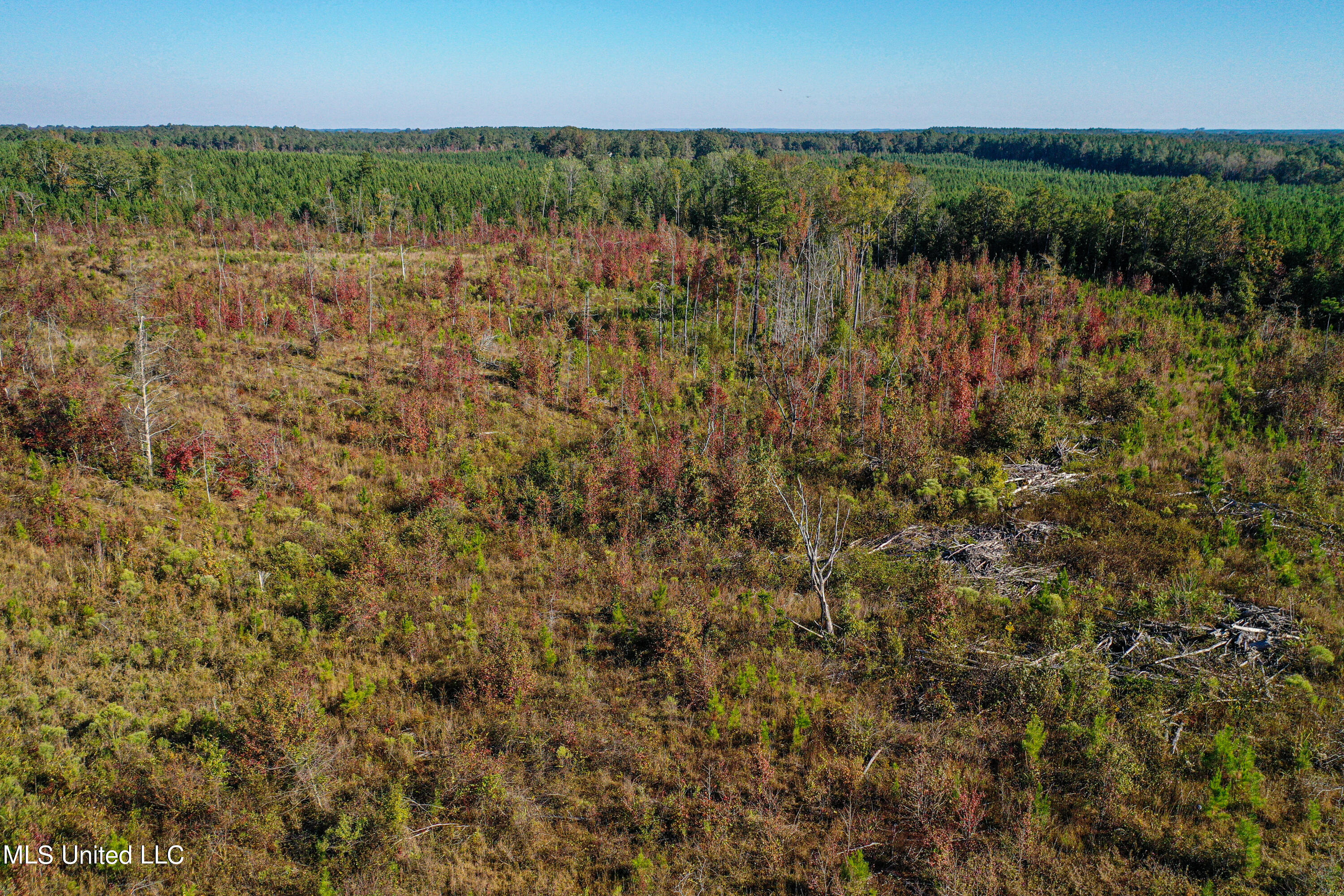 Mt Pleasant Road Noxapater, MS 39346 - Photo 8 of 11 DJI_0177