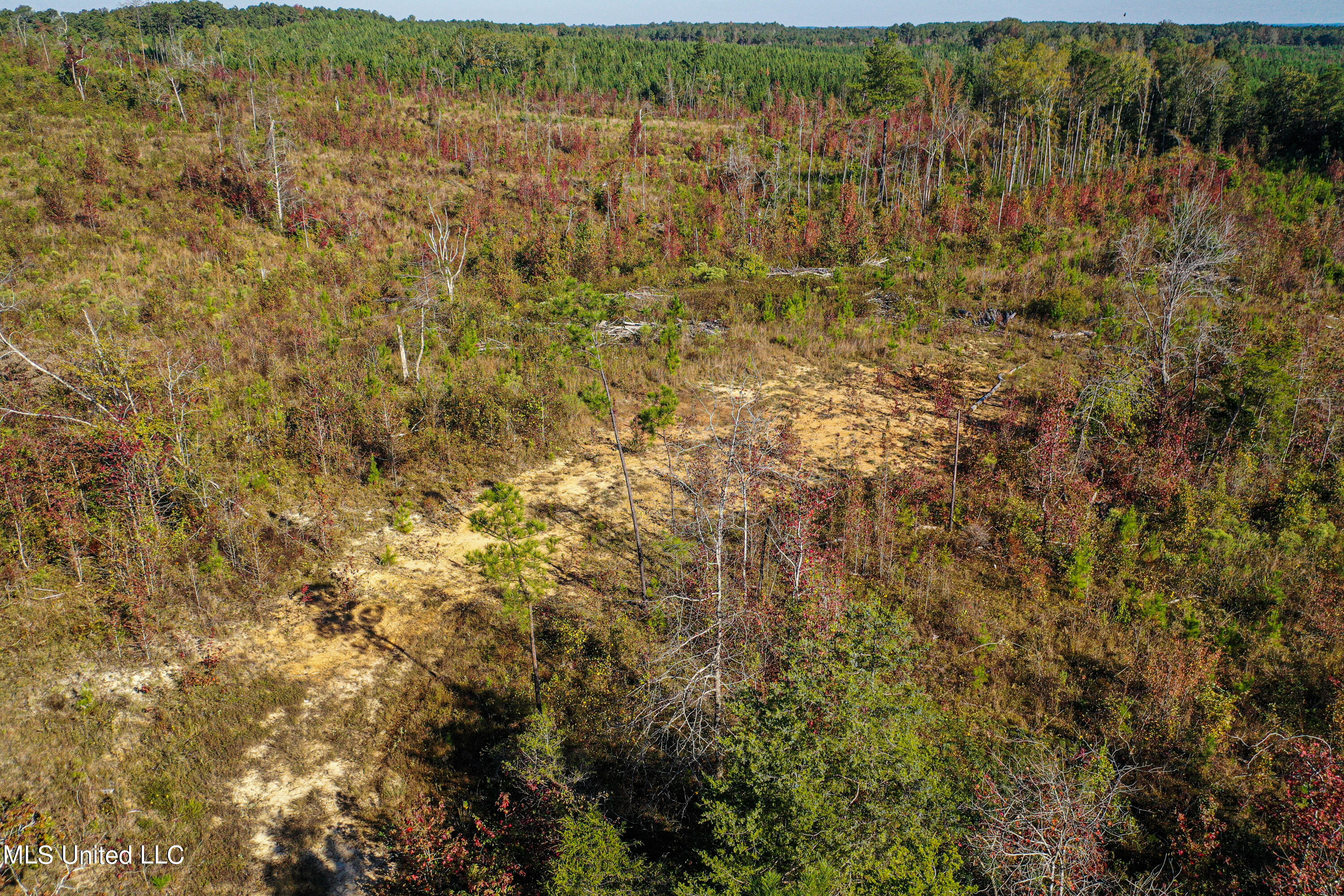 Mt Pleasant Road Noxapater, MS 39346 - Photo 9 of 11 DJI_0173