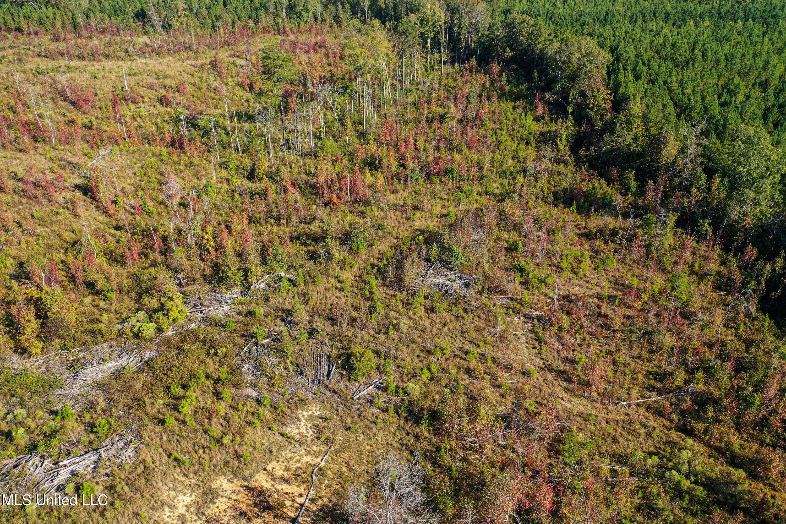 Mt Pleasant Road Noxapater, MS 39346 - Photo 10 of 11 DJI_0170