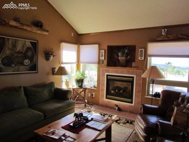 420 Twin Creek Road Florence, CO 81226 - Photo 4 of 33 Gas Fireplace