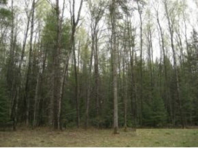 Lot 24 Sand Lake Road Mercer, WI 54547 - Photo 2 of 9 Gallery Image 2