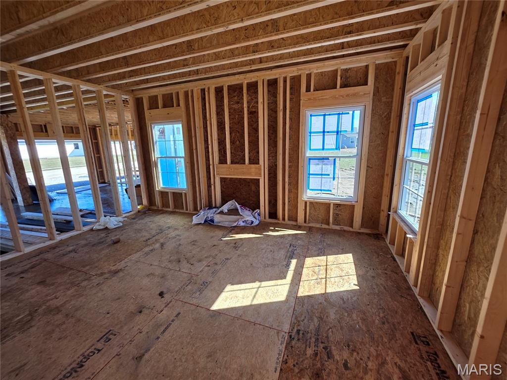 3704 Osprey Court Shiloh, IL 62221 - Photo 10 of 20