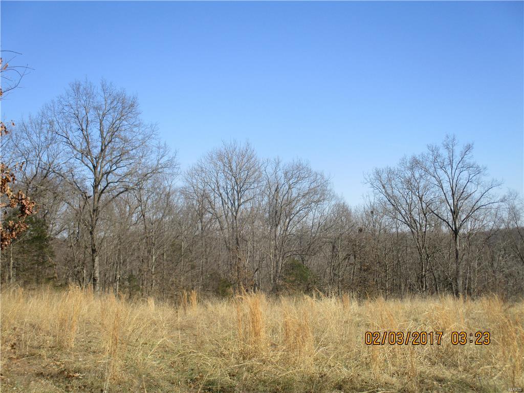 18800 Franklin Road Pacific, MO 63069 - Photo 51 of 63 Gallery Image 51