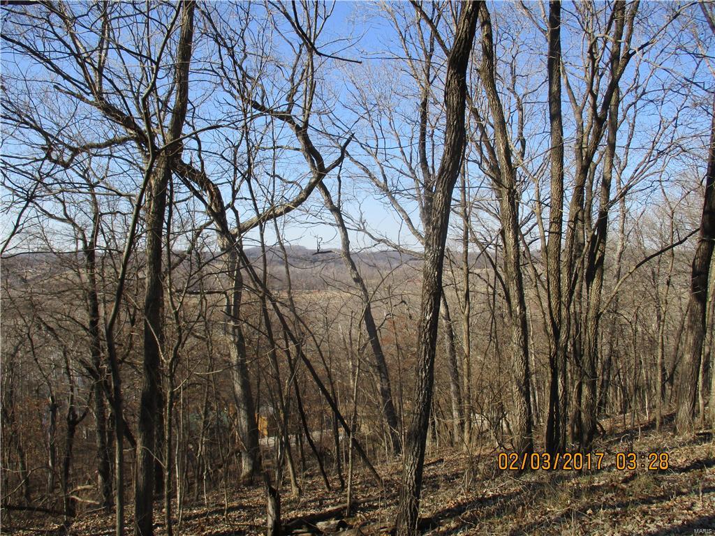 18800 Franklin Road Pacific, MO 63069 - Photo 57 of 63 Gallery Image 57