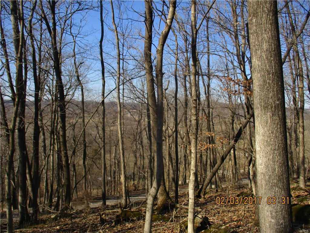 18800 Franklin Road Pacific, MO 63069 - Photo 61 of 63 Gallery Image 61