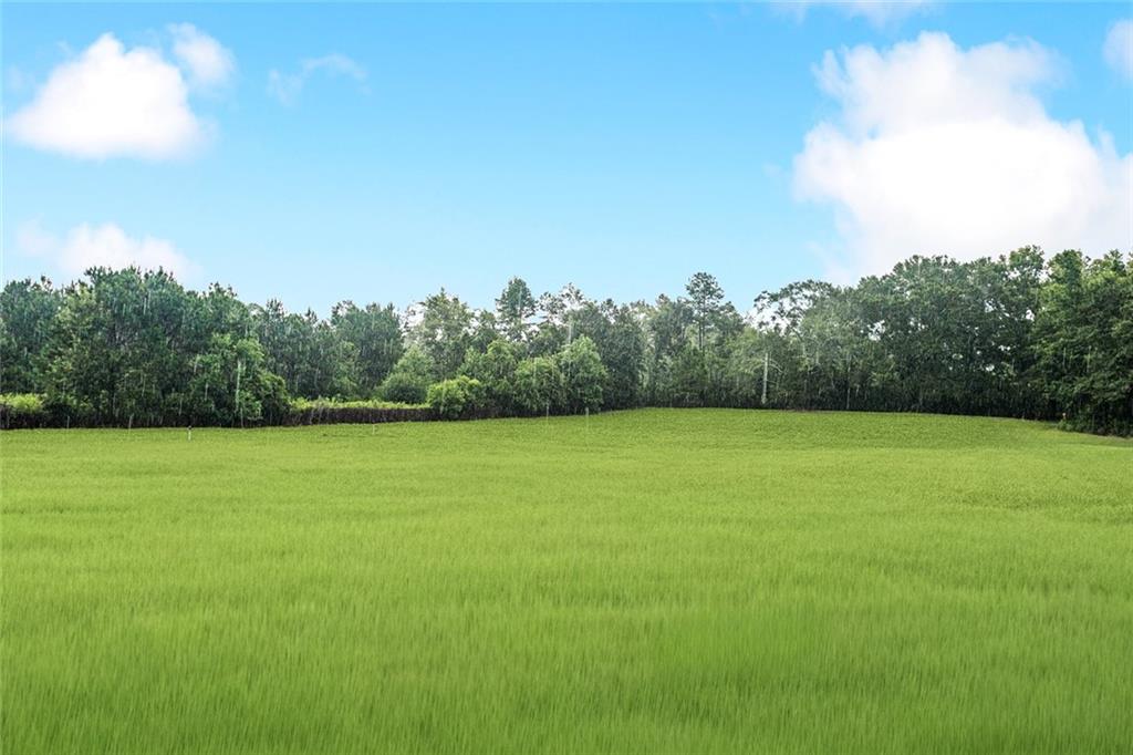 30381 Woodrow Magee Road Franklinton, LA 70438 - Photo 13 of 13