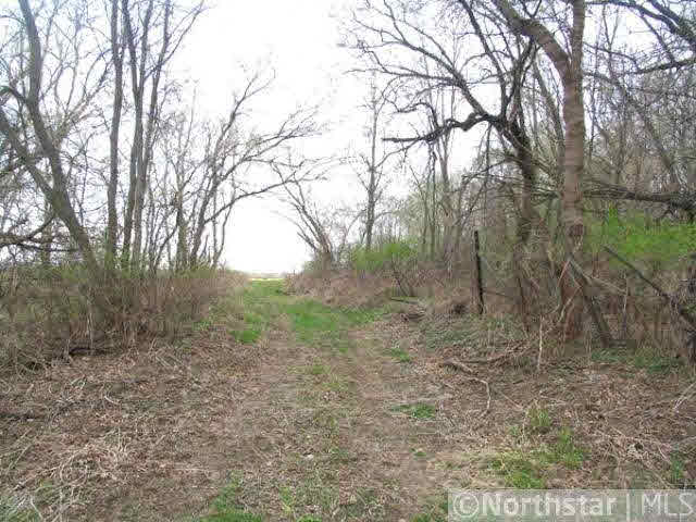 Xxx-a-110 Sunrise Road Harris, MN 55032 - Photo 16 of 18 Gallery Image 16
