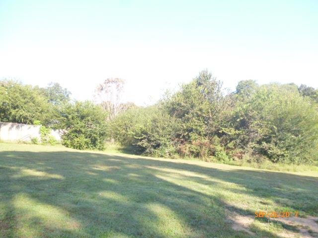 137 Hogin Road Dickson, TN 37055 - Photo 3 of 16 Large back yard