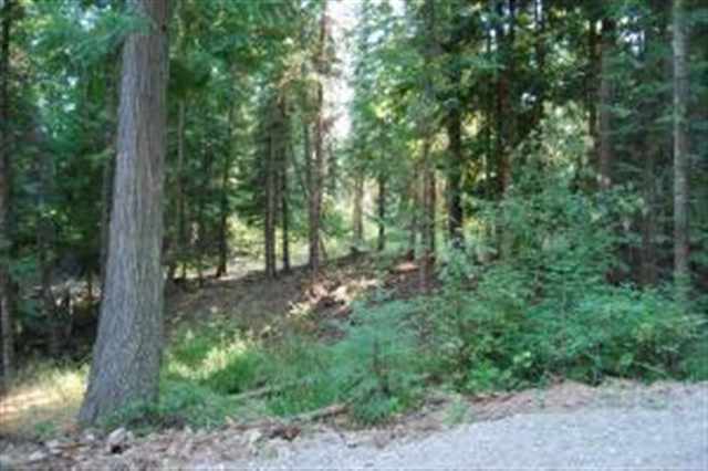 8-xx Dry Gulch Road Colville, WA 99114 - Photo 3 of 5 Gallery Image 3