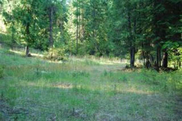 8-xx Dry Gulch Road Colville, WA 99114 - Photo 4 of 5 Gallery Image 4