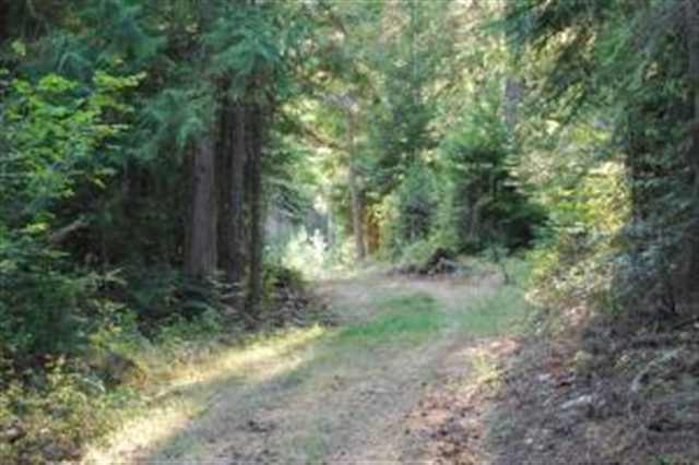 8-xx Dry Gulch Road Colville, WA 99114 - Photo 5 of 5 Gallery Image 5