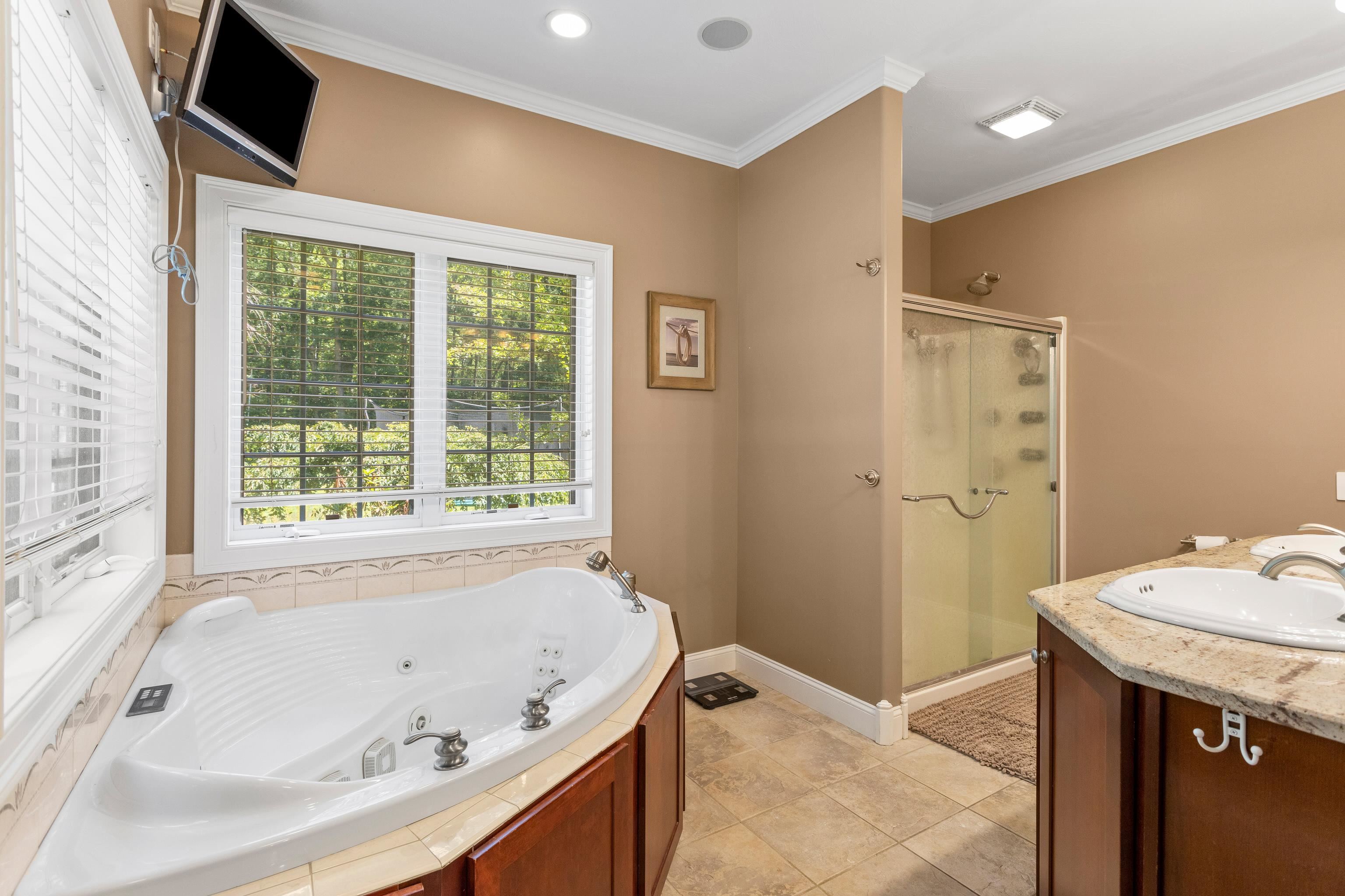 344 East Dunbarton Road Goffstown, NH 03045 - Photo 34 of 60