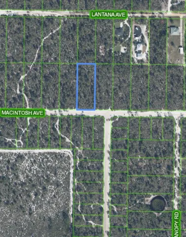 a view of outdoor space and garden