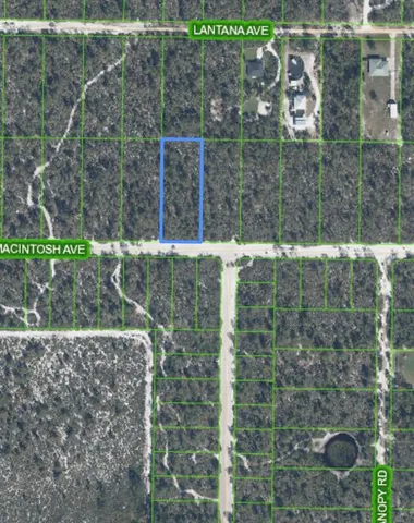 a view of outdoor space and garden