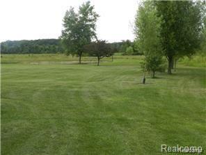 12320 Masters Road Memphis, MI 48041 - Photo 49 of 51 Riley 2.jpg