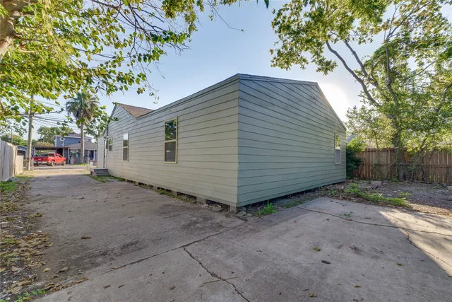 a view of a backyard with plants and large tree