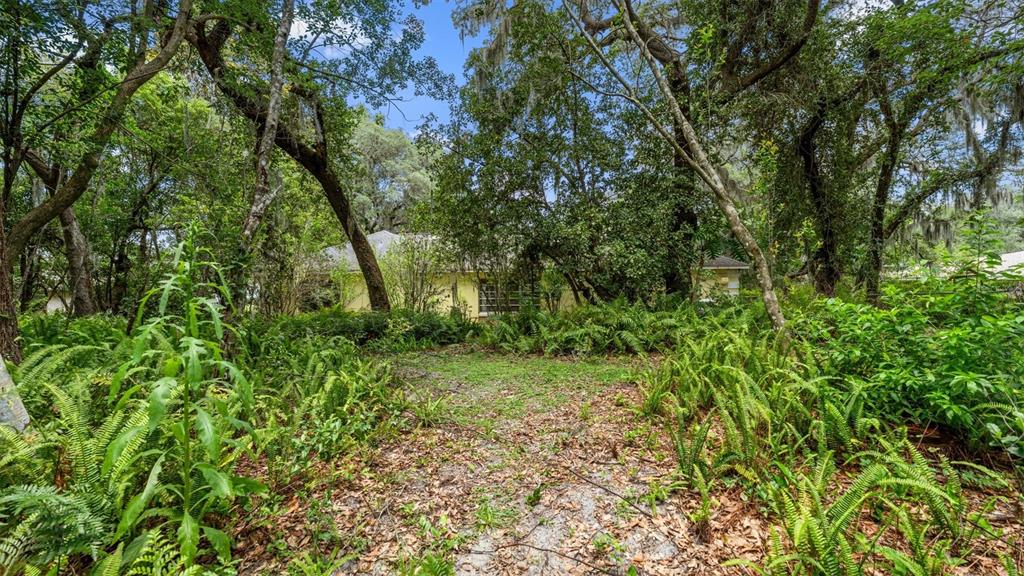 1237 Cardinal Lane DeLand, FL 32720 - Photo 75 of 83