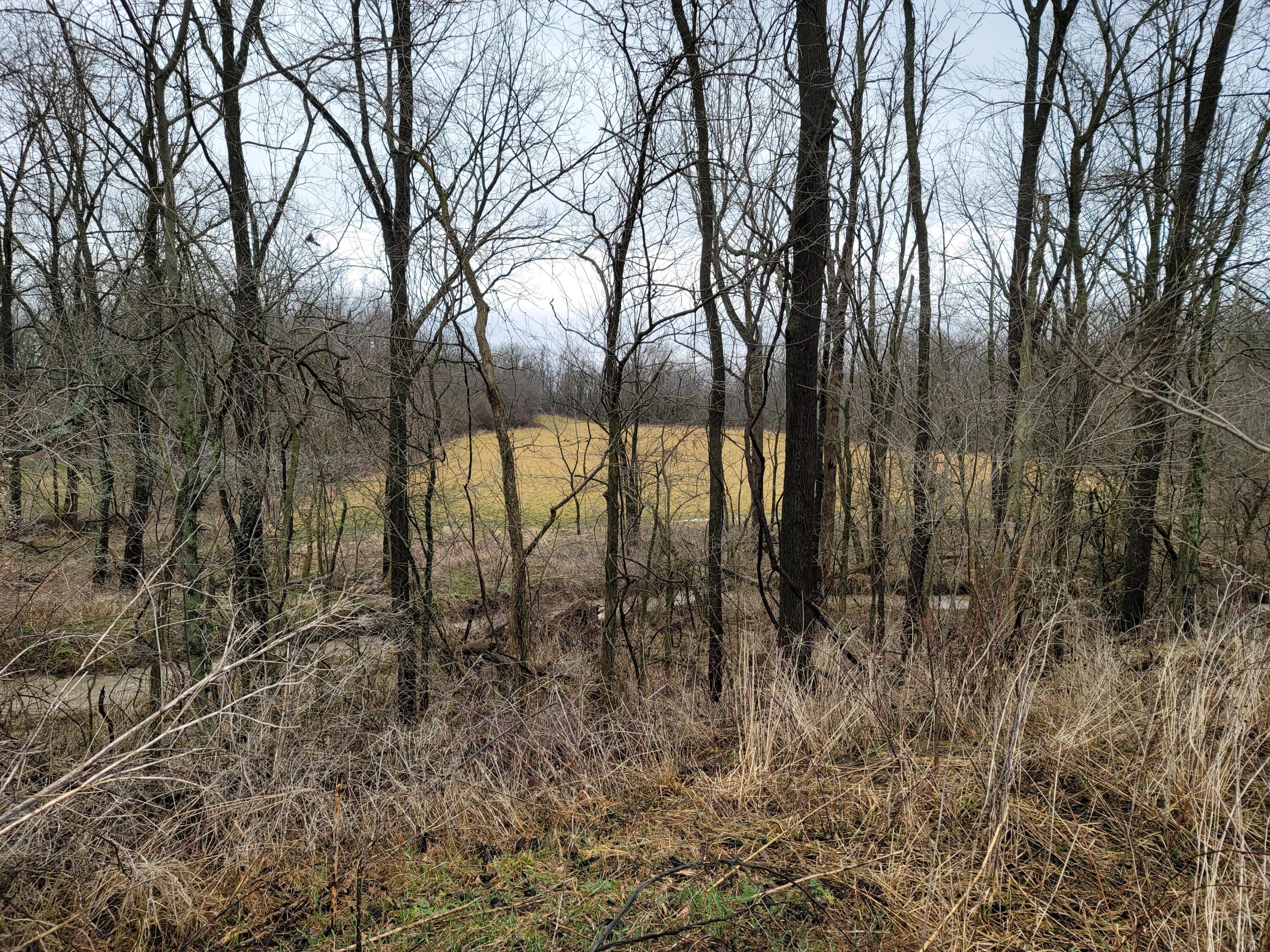 0 Vance Road Mount Vernon, OH 43050 - Photo 2 of 32 20220307_143034
