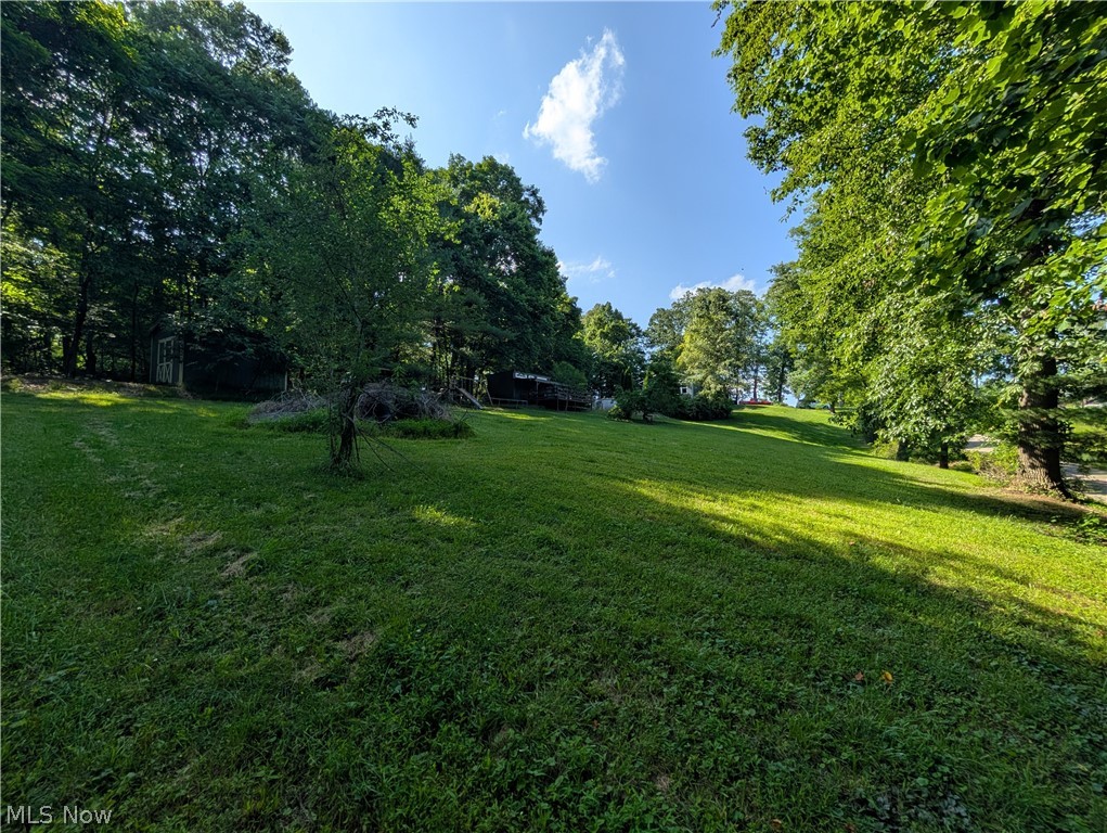 6700 McCaslin Road Nashport, OH 43830 - Photo 10 of 30 Expansive green lawn with mature trees and a rustic shed